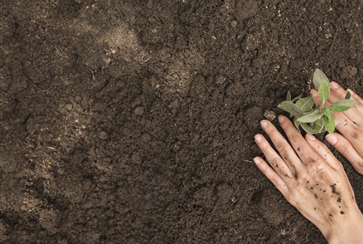 CKD Solucan Gübresi Projesi Başlatıyor