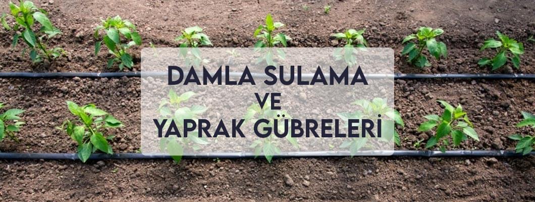 Damla Sulama ve Yaprak Gübreleri Damla Sulama ve Yaprak Gübreleri