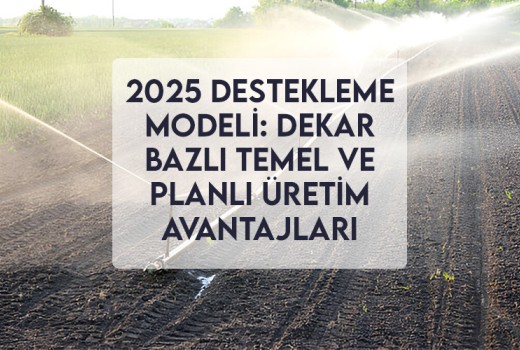 2025 Destekleme Modeli: Dekar Bazlı Temel ve Planlı Üretim Avantajları