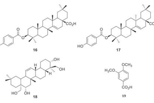 Doğal Solucan Gübresinin Çoklu Element Yapısının Farkı