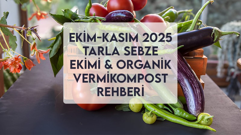 Ekim-Kasım 2025 Tarla Sebze Ekimi & Organik Vermikompost Rehberi