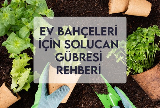 Ev Bahçeleri İçin Solucan Gübresi Rehberi