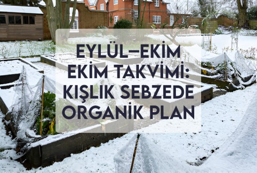 Eylül–Ekim Ekim Takvimi: Kışlık Sebzede Organik Plan