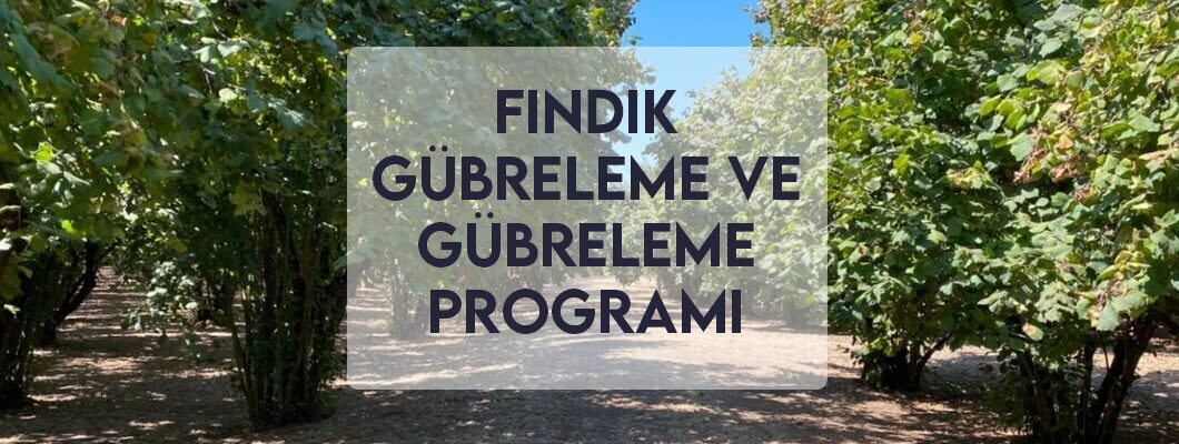 Fındık Gübreleme ve Gübreleme Programı Fındık Gübreleme ve Gübreleme Programı