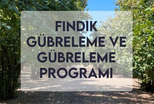 Fındık Gübreleme ve Gübreleme Programı