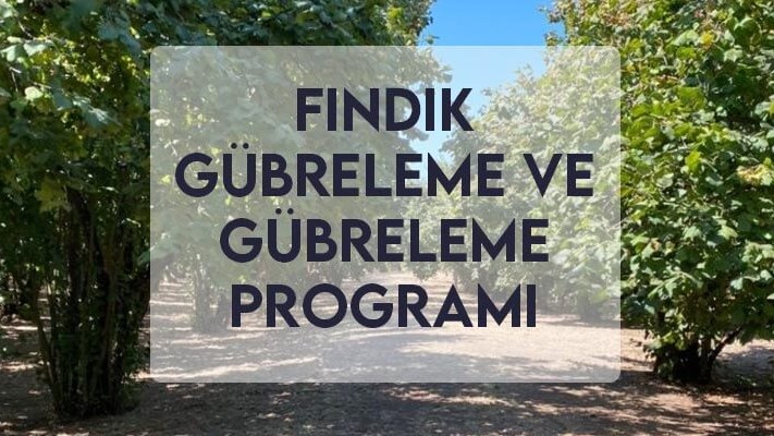 Fındık Gübreleme ve Gübreleme Programı Fındık Gübreleme ve Gübreleme Programı