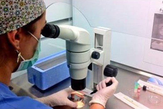 Gübre Analiz Laboratuvarları ve Analiz Ücretleri