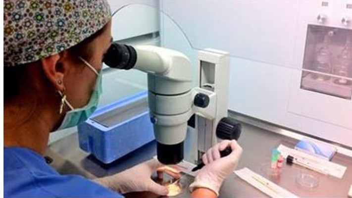 Gübre Analiz Laboratuvarları ve Analiz Ücretleri Gübre Analiz Laboratuvarları ve Analiz Ücretleri