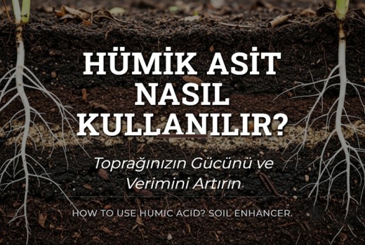 Hümik Asit Nasıl Kullanılır?