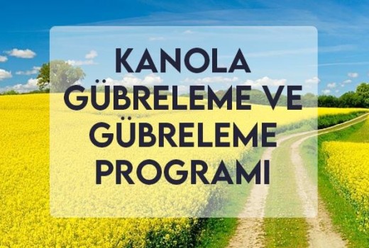 Kanola Gübreleme ve Gübreleme Programı