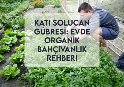 Katı Solucan Gübresi: Evde Organik Bahçıvanlık Rehberi