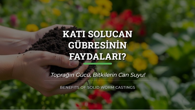 Katı Solucan Gübresinin Faydaları?