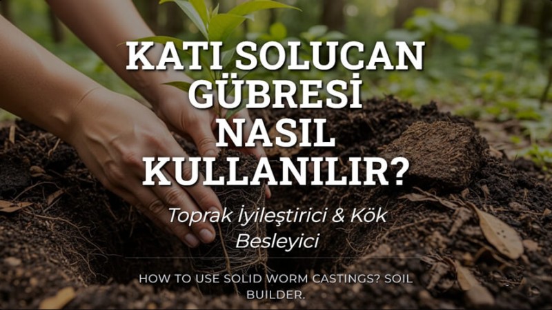 Katı Solucan Gübresi Nasıl Kullanılır?