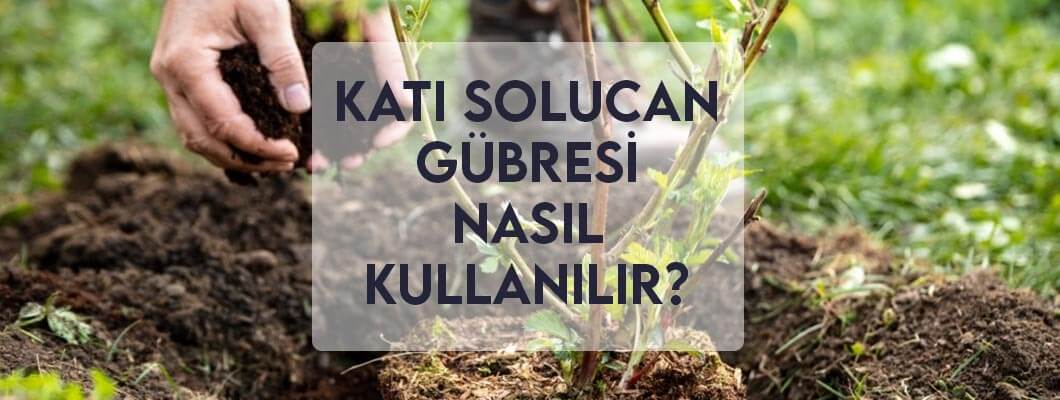 Katı Solucan Gübresi Nasıl Kullanılır? Katı Solucan Gübresi Nasıl Kullanılır?