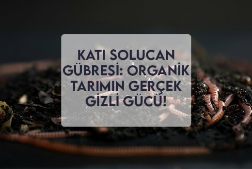 Katı Solucan Gübresi: Organik Tarımın Gerçek Gizli Gücü!