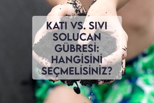 Katı vs. Sıvı Solucan Gübresi: Hangisini Seçmelisiniz?