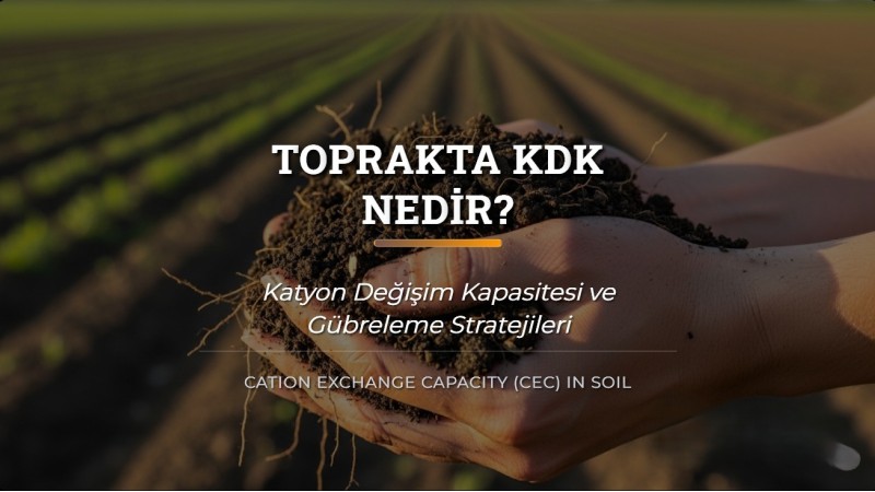 Toprakta KDK Nedir? Katyon Değişim Kapasitesi ve Gübreleme