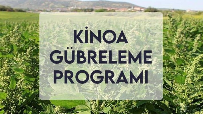 Kinoa Gübreleme Programı