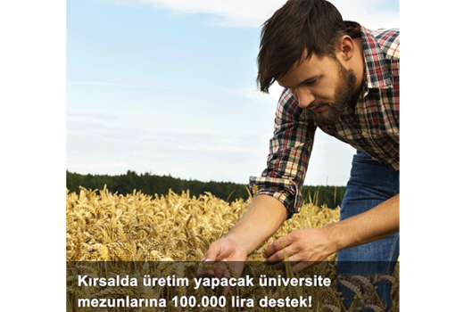 Kırsalda Üretim Yapacak Üniversite Mezunlarına 100.000 Lira Destek!