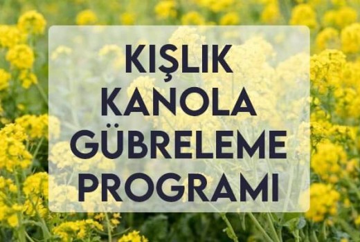 Kışlık Kanola Gübreleme Programı