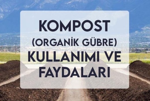 Kompost (Organik Gübre) Kullanımı ve Faydaları