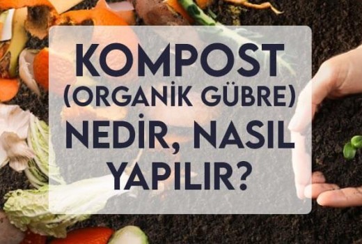 Kompost (Organik Gübre) Nedir, Nasıl Yapılır?