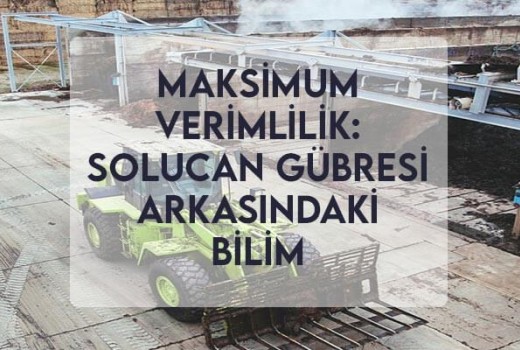 Maksimum Verimlilik: Solucan Gübresi Arkasındaki Bilim