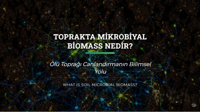Toprakta Mikrobiyal Biomass Nedir? Ölü Toprağı Canlandırma