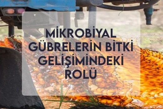 Mikrobiyal Gübrelerin Bitki Gelişimindeki Rolü