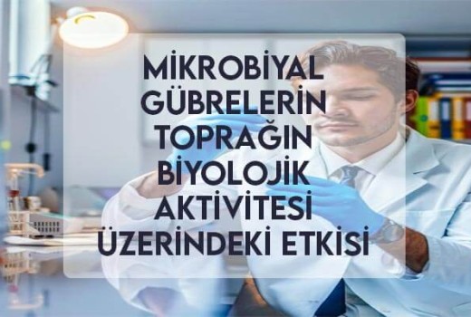 Mikrobiyal Gübrelerin Toprağın Biyolojik Aktivitesi Üzerindeki Etkisi