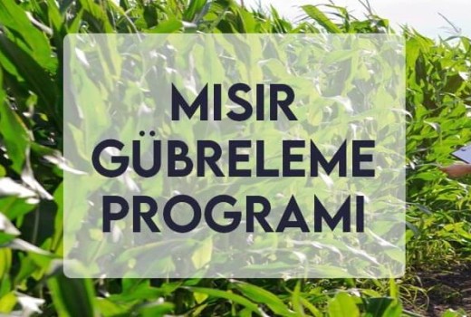 Mısır Gübreleme Programı