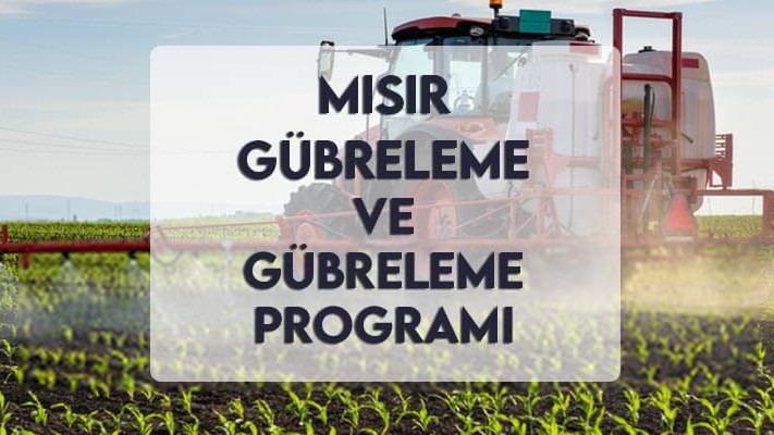 Mısır Gübreleme ve Gübreleme Programı Mısır Gübreleme ve Gübreleme Programı