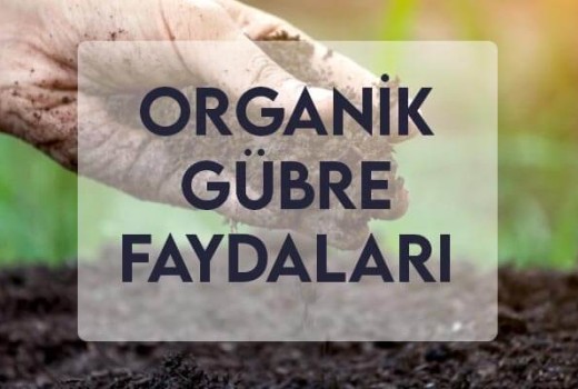 Organik Gübre Faydaları