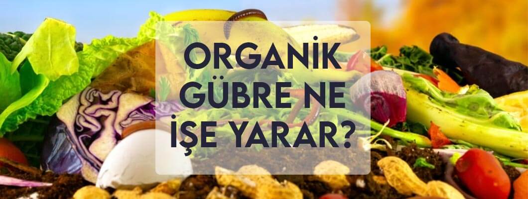 Organik Gübre Ne İşe Yarar? Organik Gübre Ne İşe Yarar?