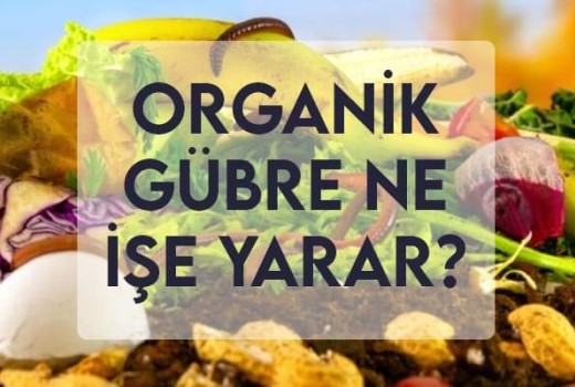 Organik Gübre Ne İşe Yarar?
