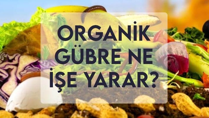 Organik Gübre Ne İşe Yarar? Organik Gübre Ne İşe Yarar?