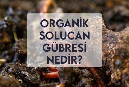 Organik Solucan Gübresi Nedir?