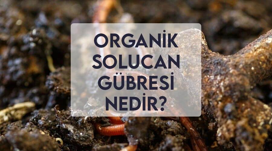 Organik Solucan Gübresi Nedir?