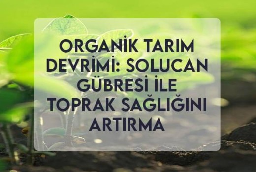 Organik Tarım Devrimi: Solucan Gübresi ile Toprak Sağlığını Artırma