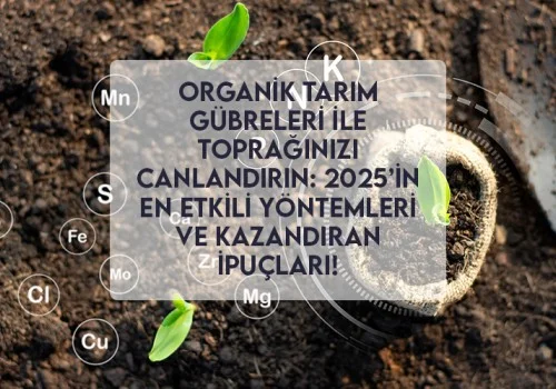 Organik Tarım Gübreleri ile Toprağınızı Canlandırın: 2025’in En Etkili Yöntemleri ve Kazandıran İpuçları!