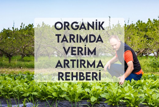 Organik Tarımda Verim Artırma Rehberi