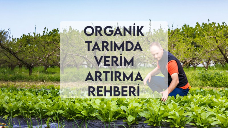Organik Tarımda Verim Artırma Rehberi Organik Tarımda Verim Artırma Rehberi