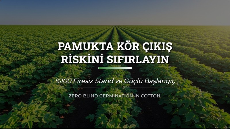 Pamukta Kör Çıkış Riskini Sıfırlayın: %100 Firesiz Stand