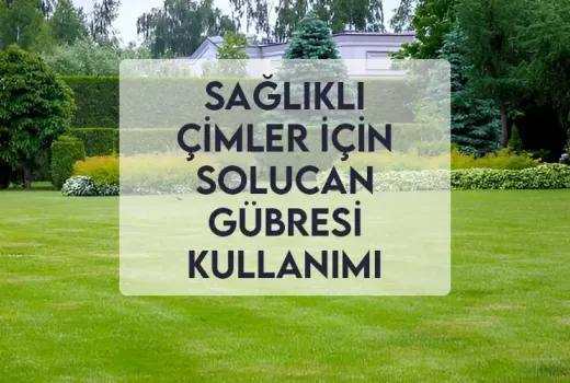 Sağlıklı Çimler için Solucan Gübresi Kullanımı