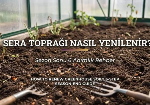 Sera Toprağı Nasıl Yenilenir? Sezon Sonu Rehberi