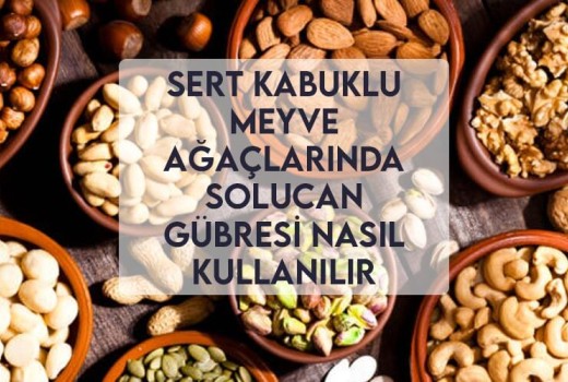 Sert Kabuklu Meyve Ağaçlarında Solucan Gübresi Nasıl Kullanılır