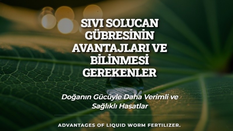 Sıvı Solucan Gübresinin Avantajları Ve Bilinmesi Gerekenler