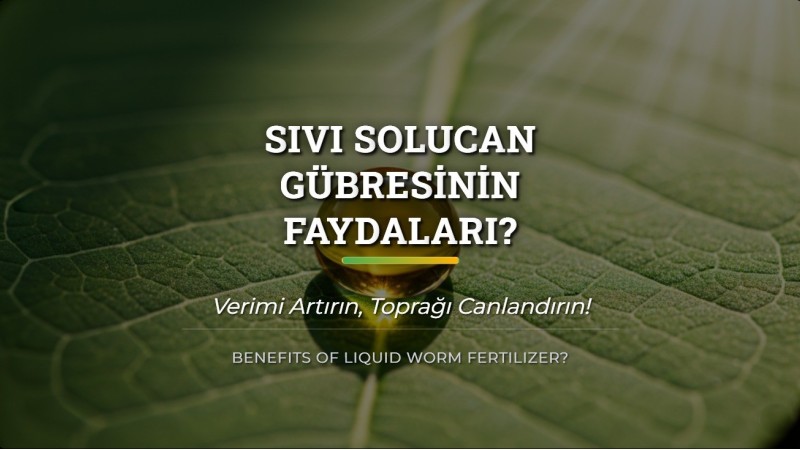 Sıvı Solucan Gübresinin Faydaları
