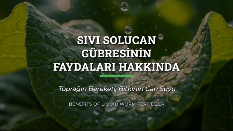 Sıvı Solucan Gübresinin Faydaları Hakkında