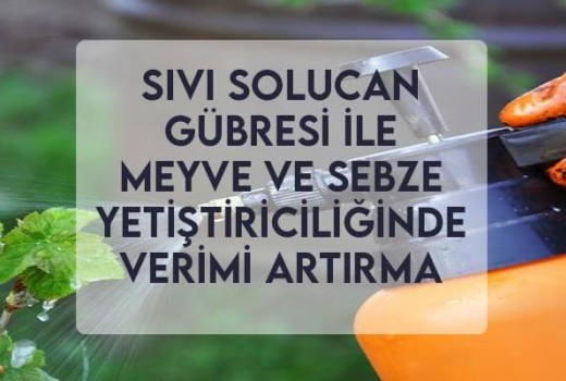 Sıvı Solucan Gübresi ile Meyve ve Sebze Yetiştiriciliğinde Verimi Artırma